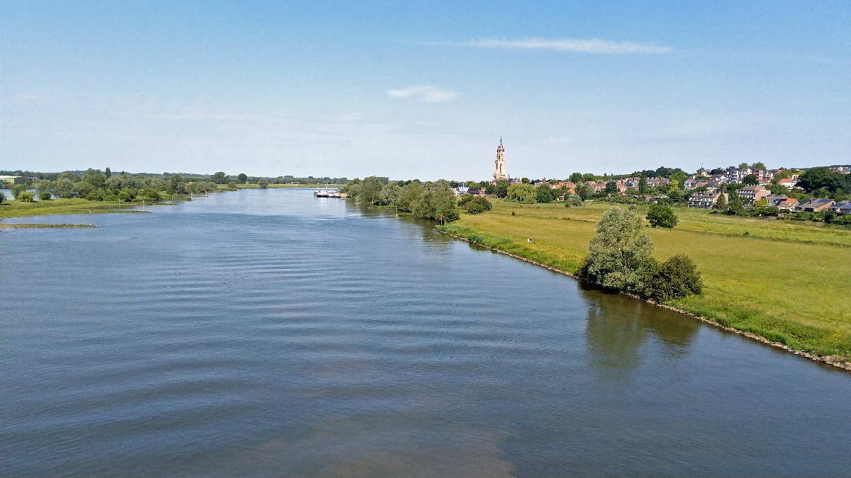 Rhein50