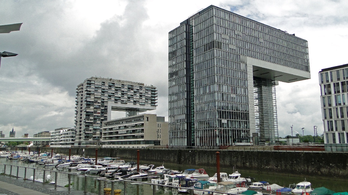 Rhein55