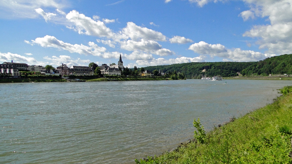 Rhein59