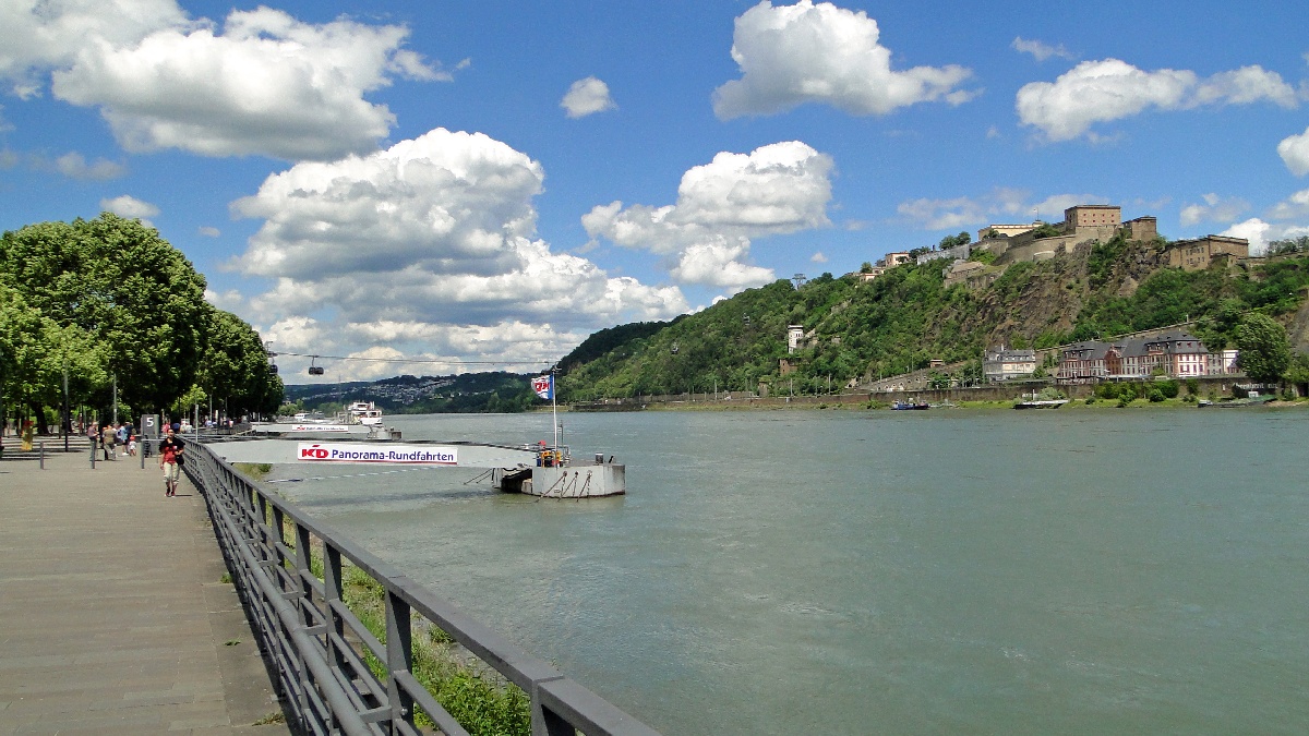 Rhein61
