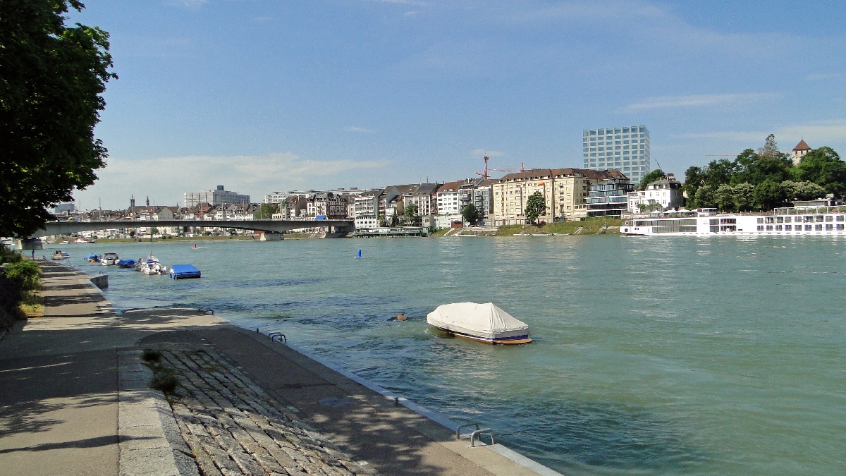 Rhein79
