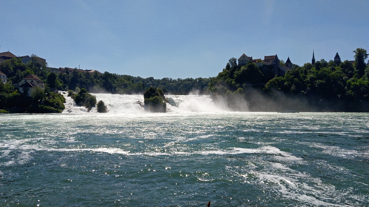 Rhein82