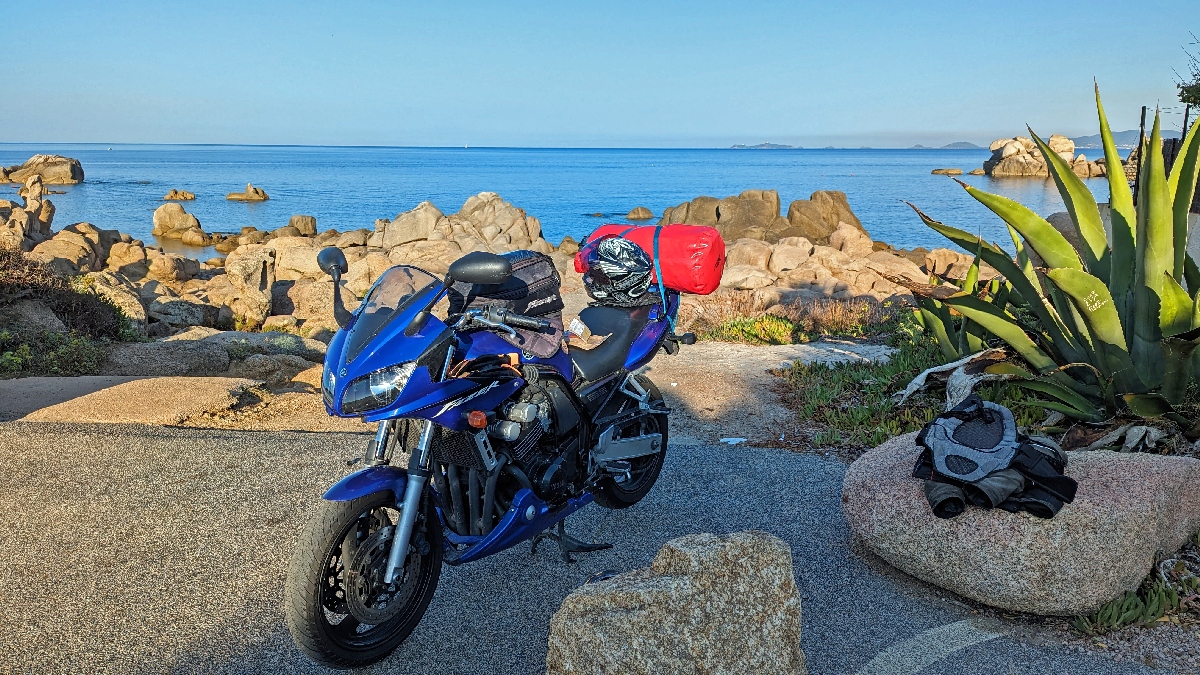 corse2316