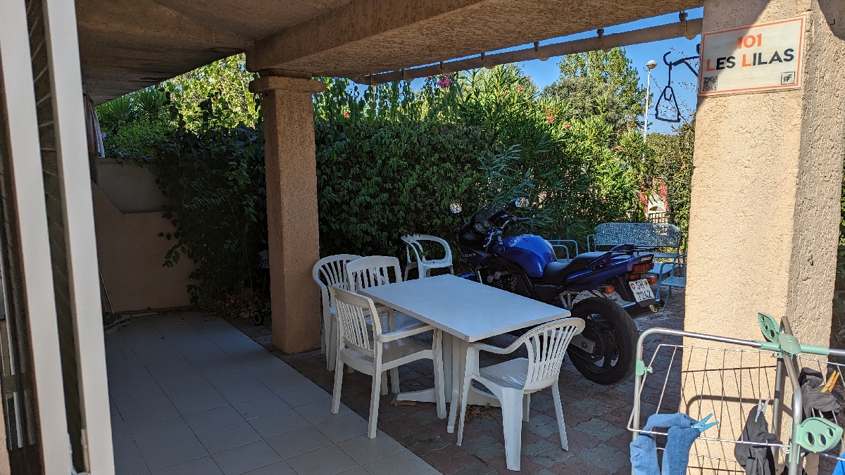 corse2323