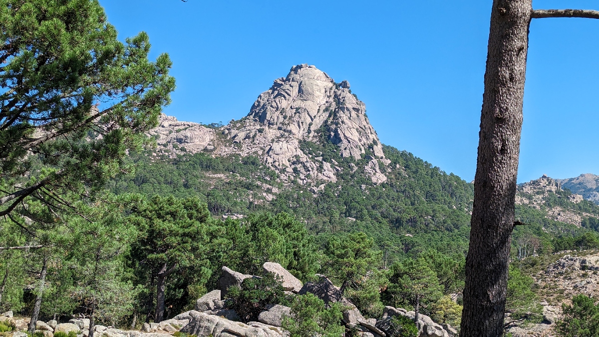 corse2328