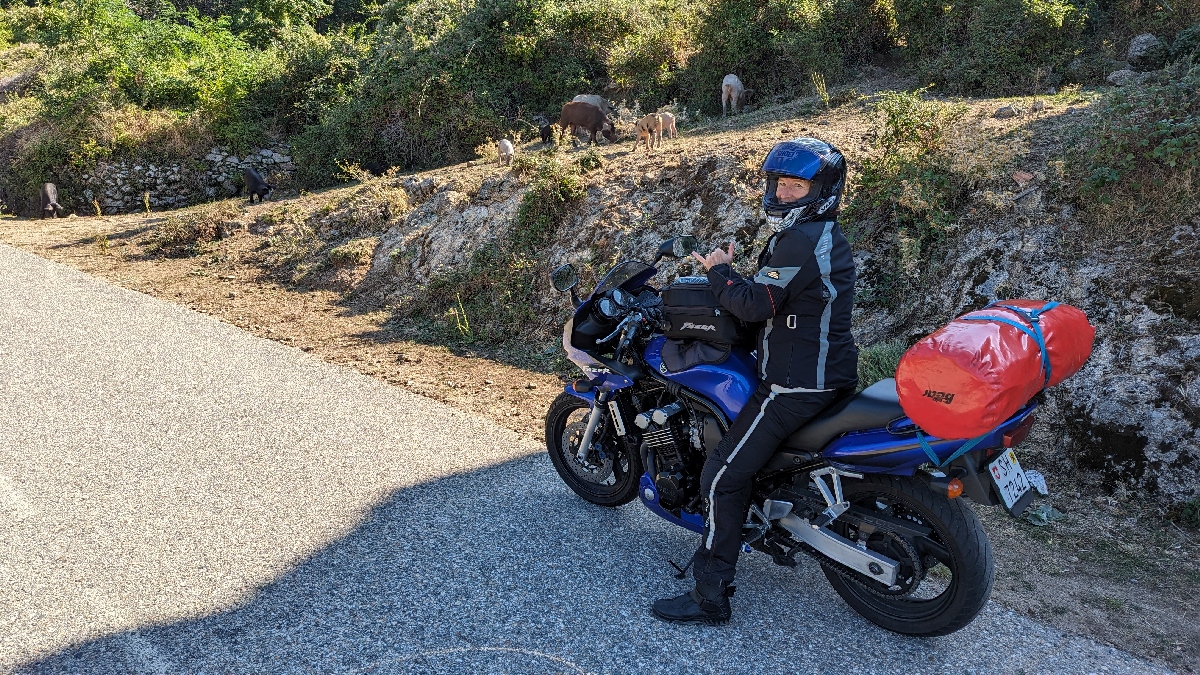 corse2330