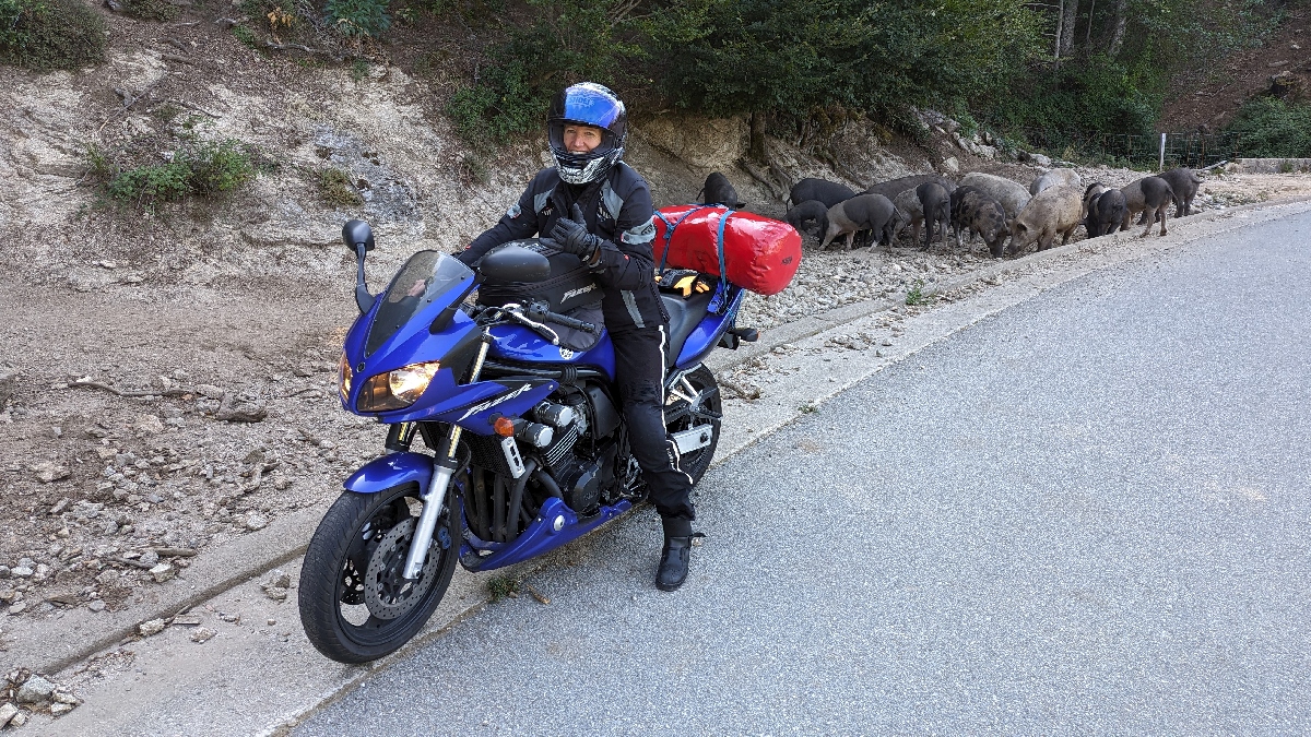 corse2332