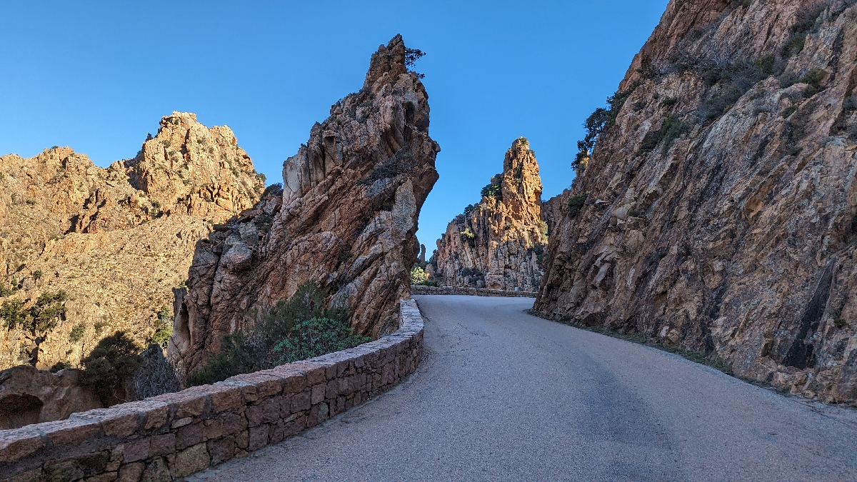 corse2342