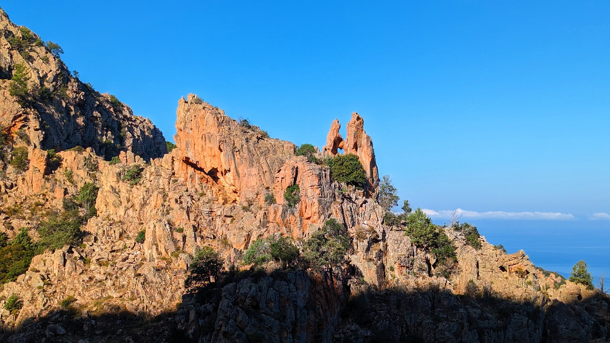 corse2345