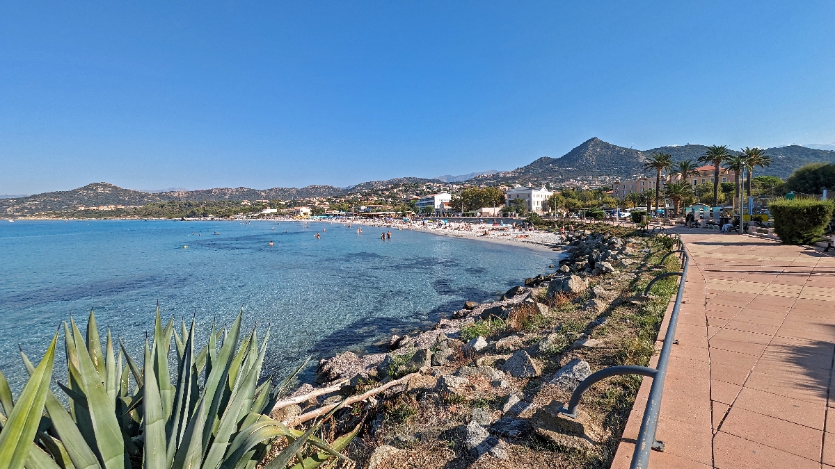 corse2355
