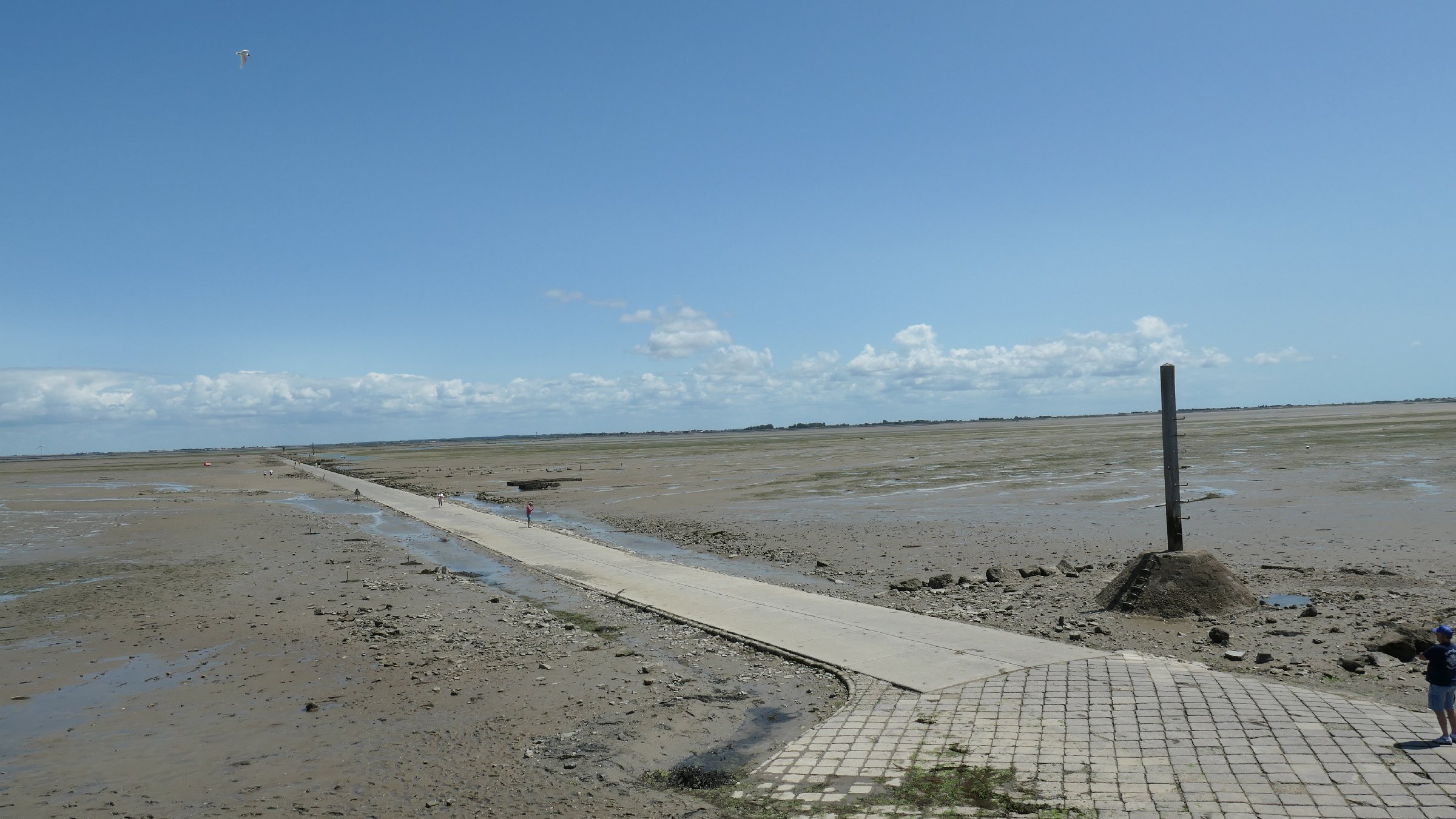 france25106