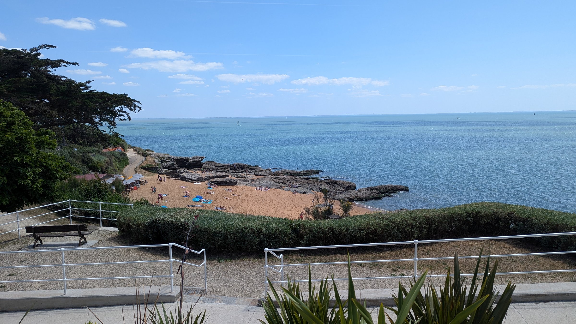 france25116
