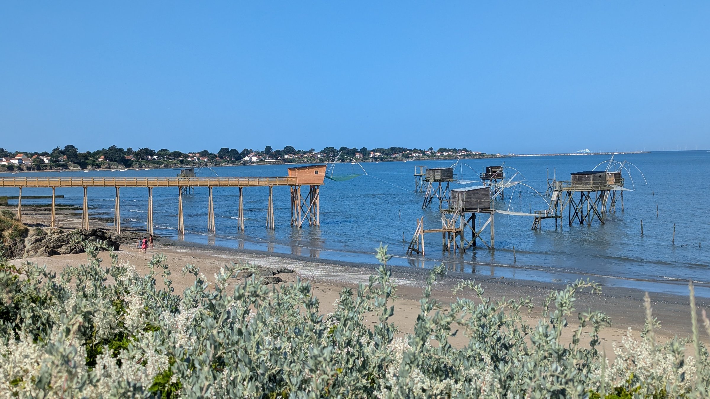 france25120